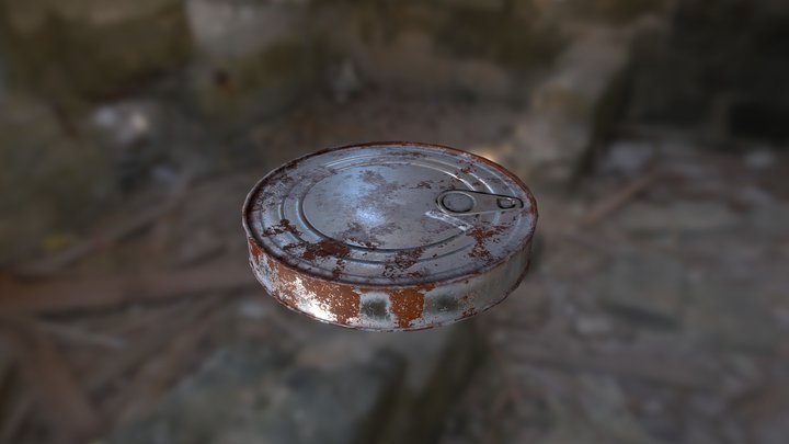 Canned 3D Model