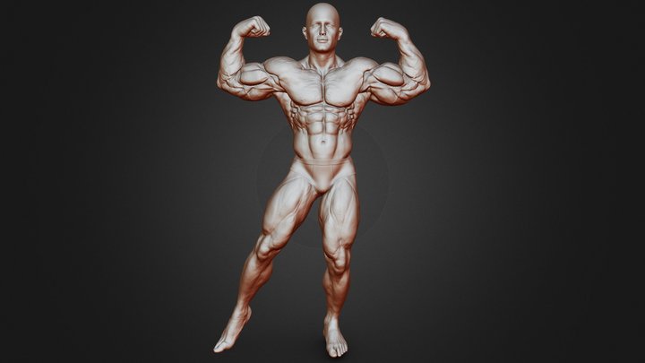 Strongman 3D models - Sketchfab