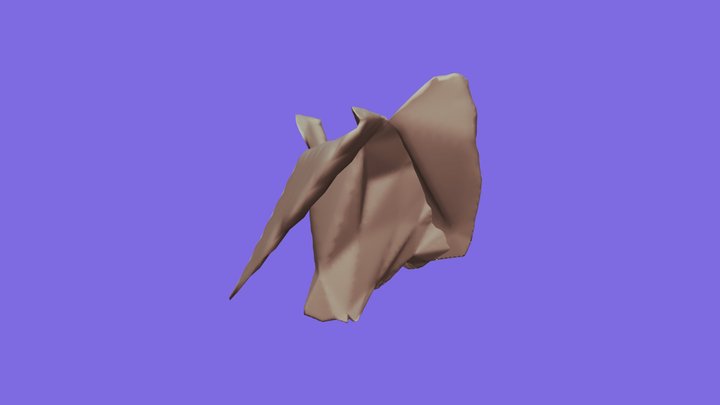634230021_dog 3D Model