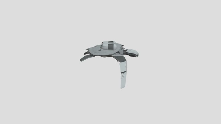 Turtle_04 3D Model