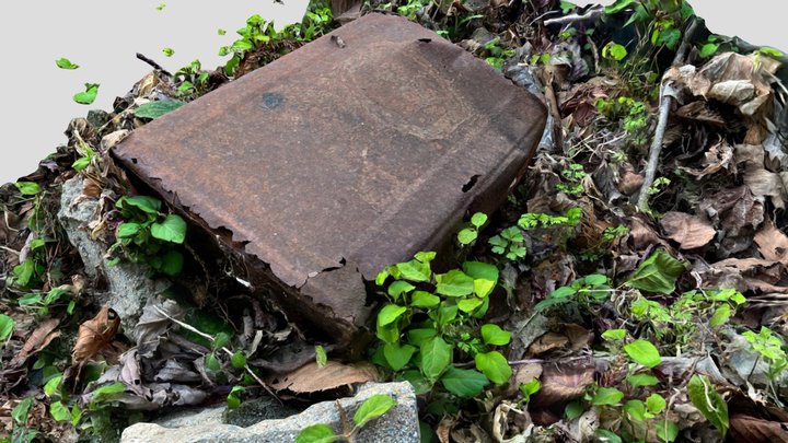 A rusted container being consumed by nature 3D Model