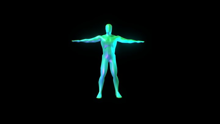 Human Male Tpose 3D Model