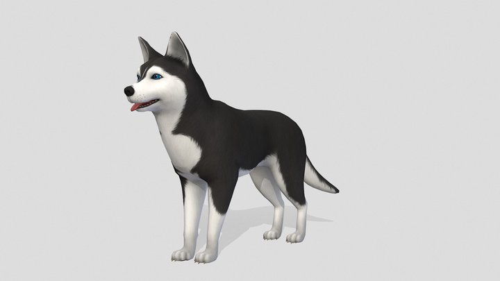 Husky dog 3D Model