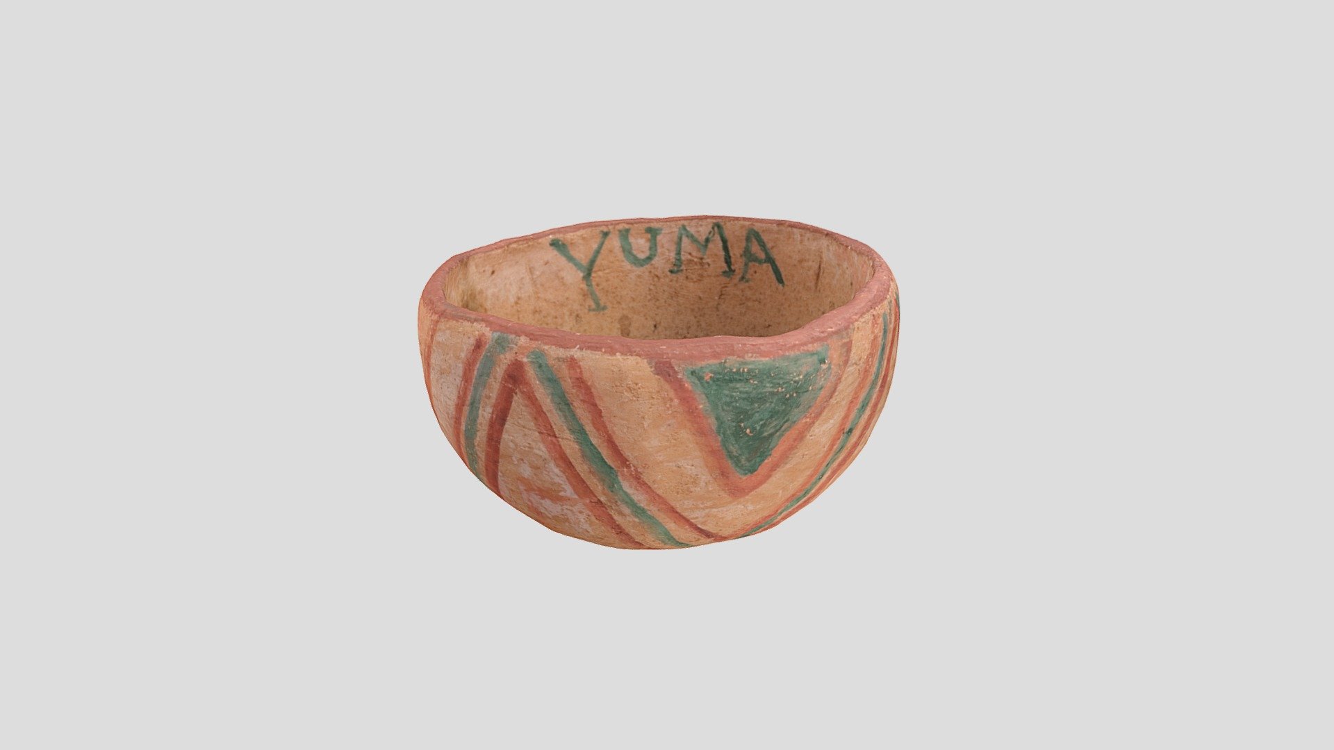 YPM ANT.236346