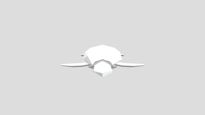 Low Poly Turtle
