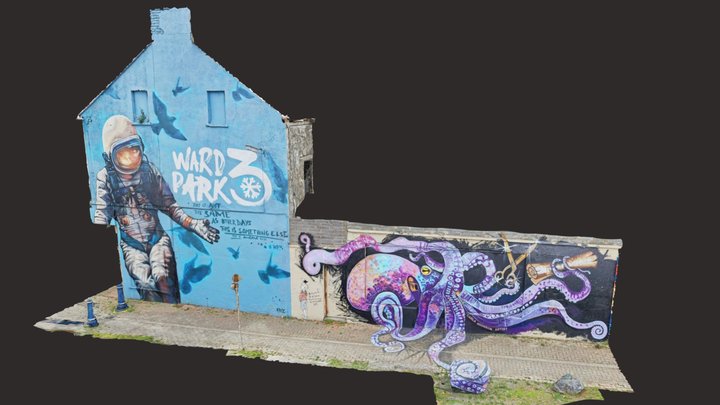 Street Art Bangor County Down 3D Model