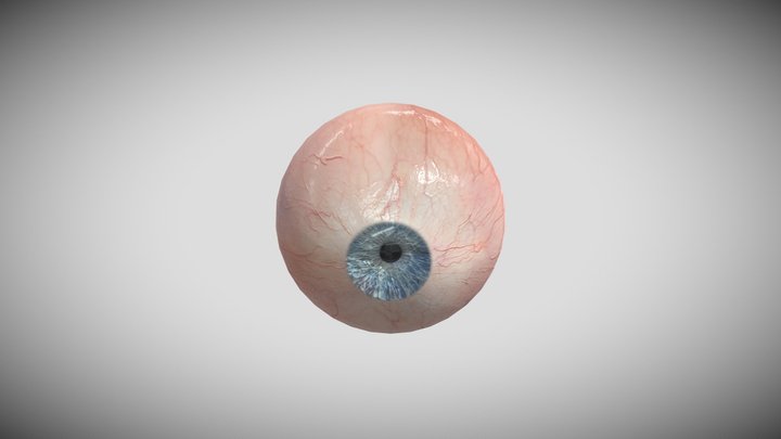 realistic eye 1.2 for Blender (Eevee) 3D Model