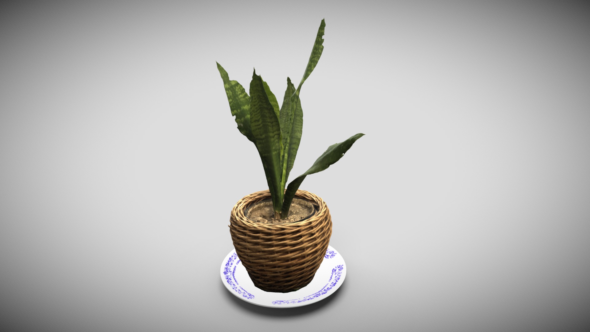 3D model Pot - This is a 3D model of the Pot. The 3D model is about a potted plant on a plate.