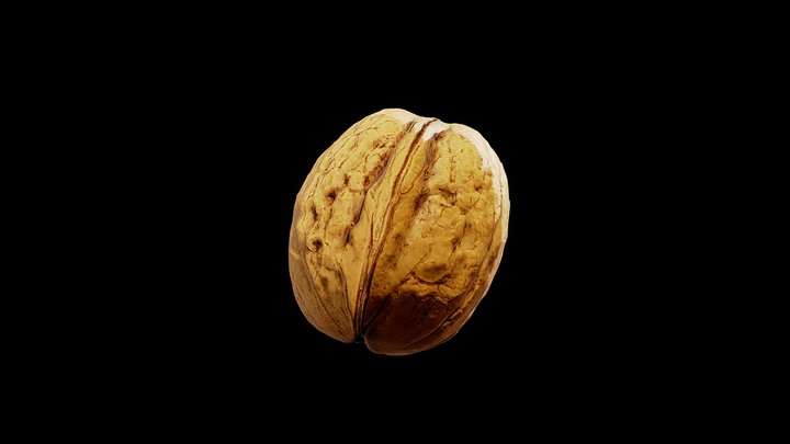 Walnut 3D-Scan 3D Model