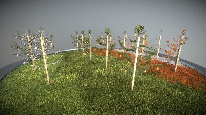 Four-seasons 3D models - Sketchfab