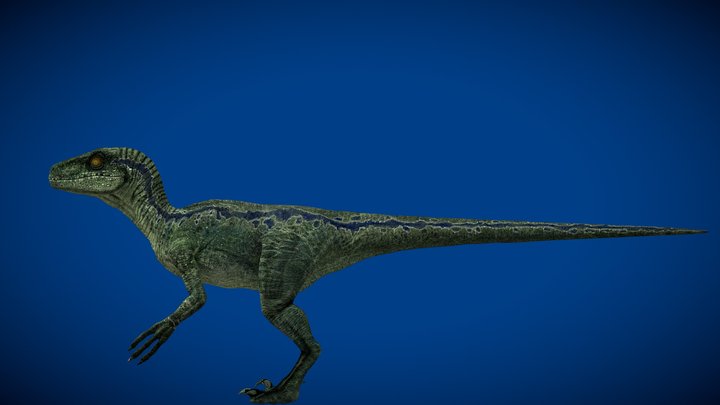 Jurassic World 2015 Blue the Velociraptor – Modèle 3D gratuit STL