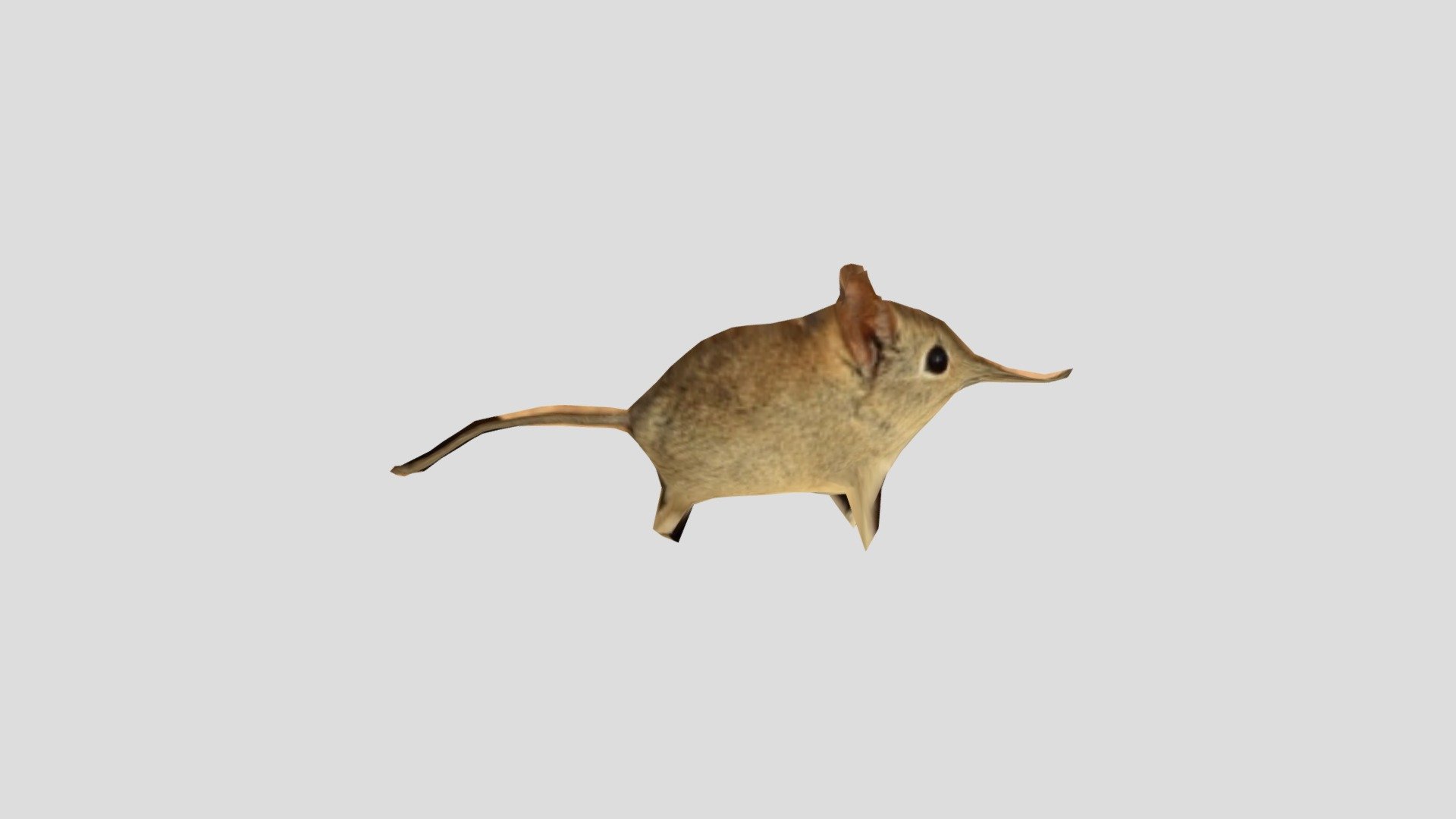 Shrew 2