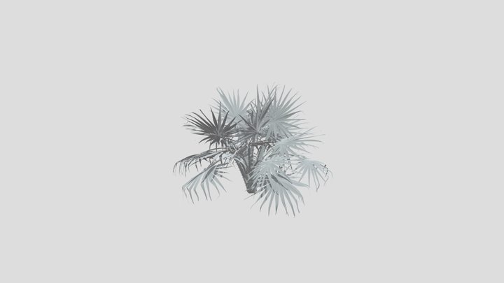 Caraday Palm Juvenile – Free 3D Model STL
