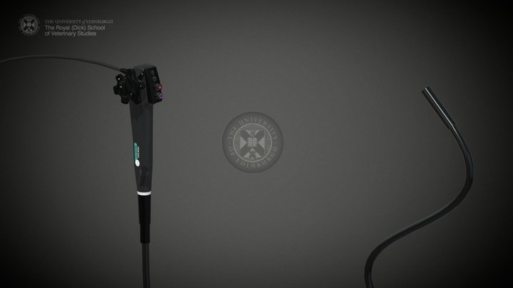 Endoscope 3D Model