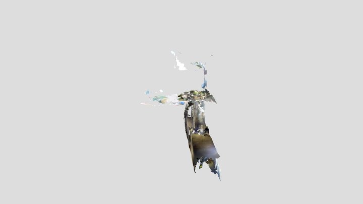 Untitled Scan 3D Model