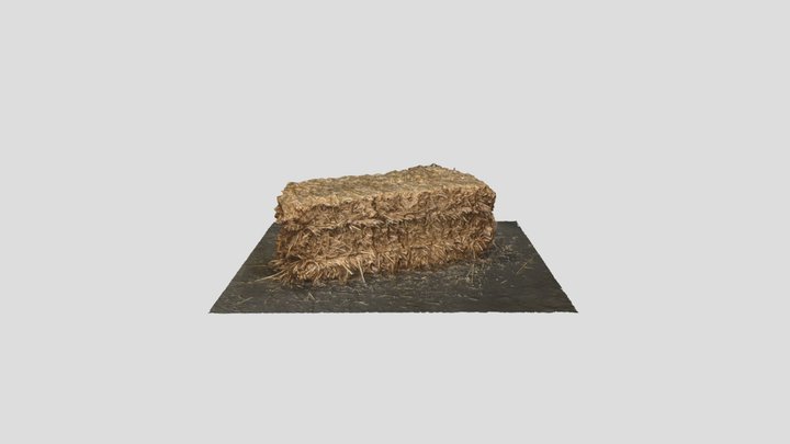 Haybale 3D Model