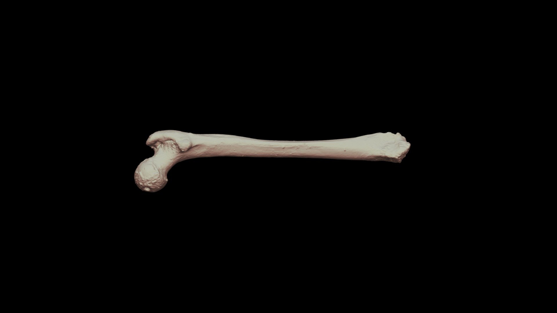F153-2