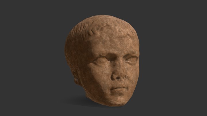 Little Prince - Stone_06 - Ancient Bust 3D Model