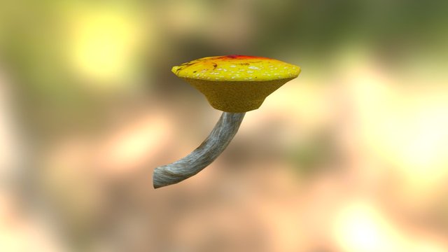 Yellow Mushroom 3D Model