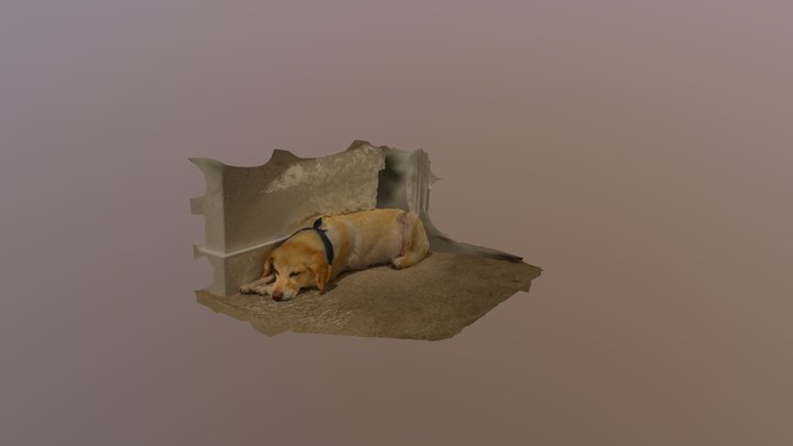 Dogg 3D Model