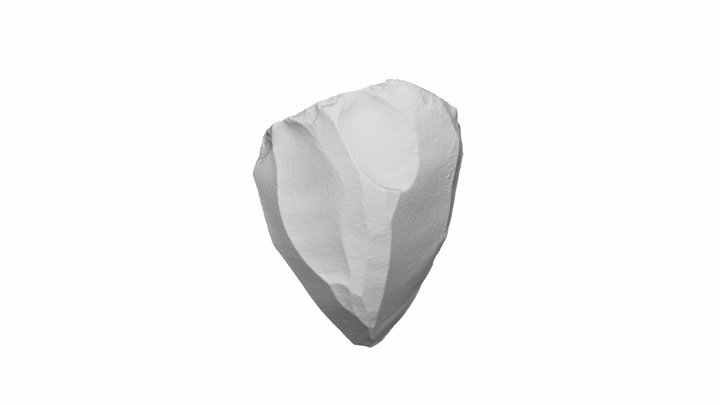 Blade Core from Ansab (Jordan) 3D Model
