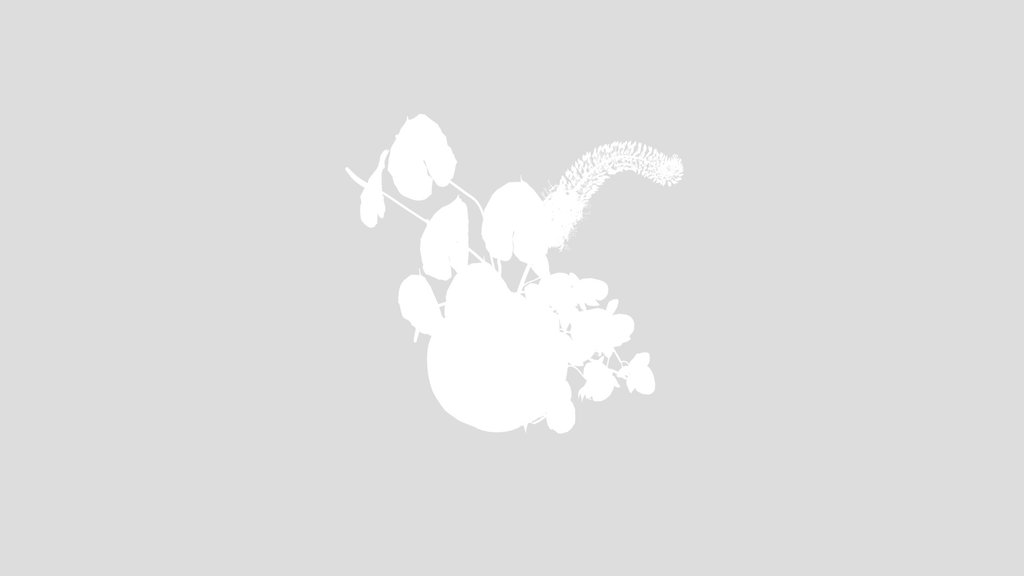 Minimal Floral Vase