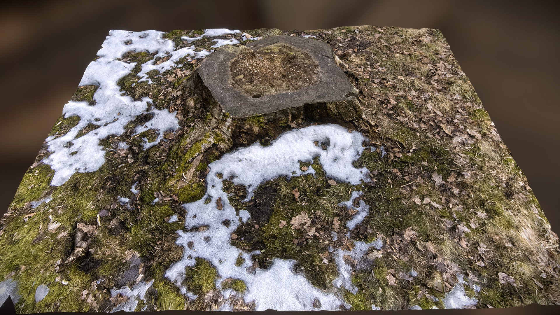 Stump 17
