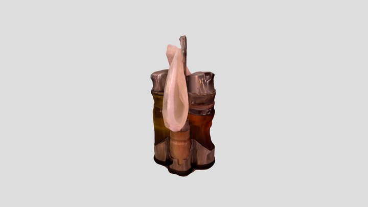 Polycam capture 3D Model