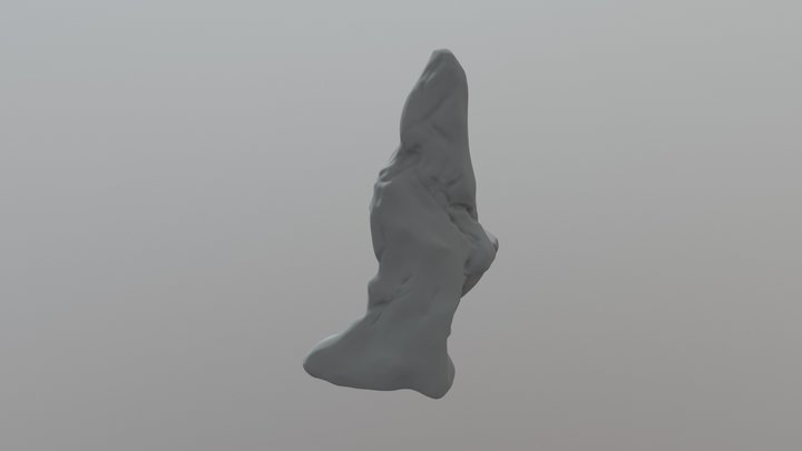 Rock Study 3D Model