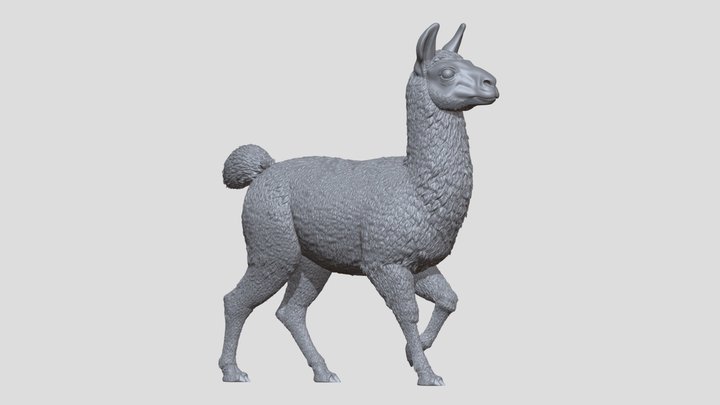 Llama 3D Model