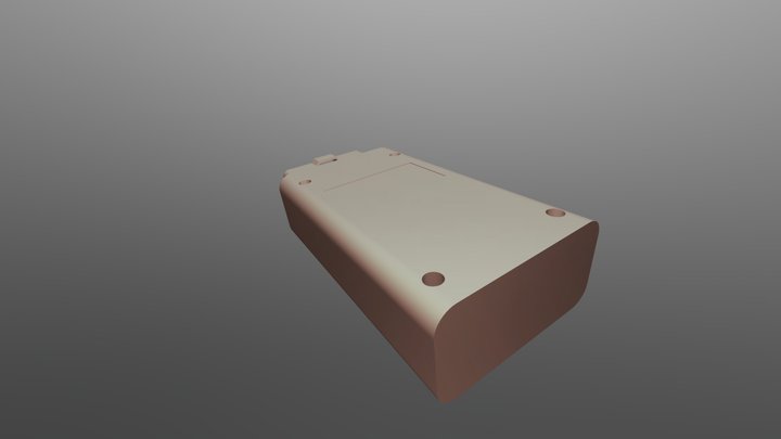 Merged Raoul1 3D Model