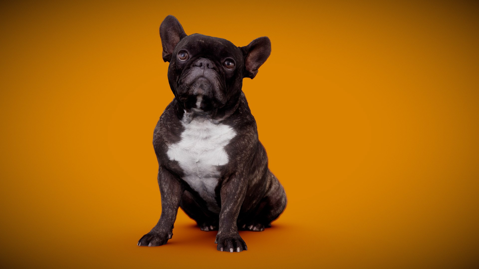 DOG B - 3of13 - Buy Royalty Free 3D model by Frank.Zwick (@Frank_Zwick ...