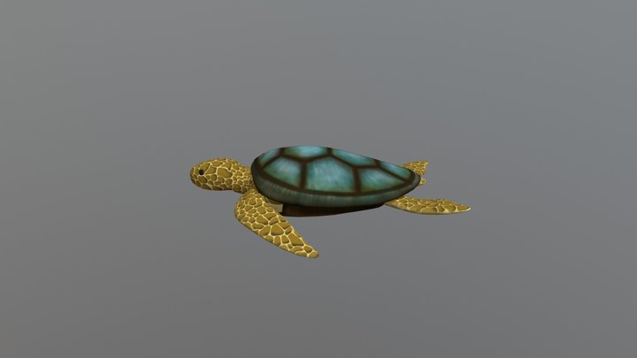 Turtle 3D Model
