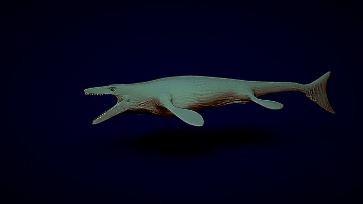Mosasaurus 3D models - Sketchfab