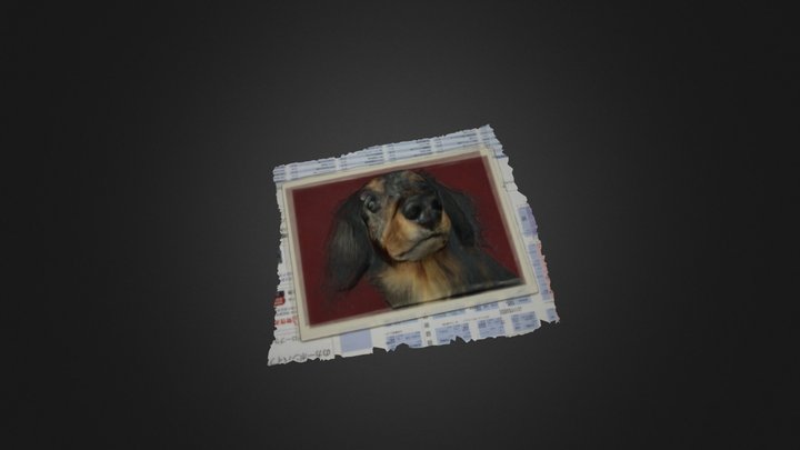 dog-B 3D Model