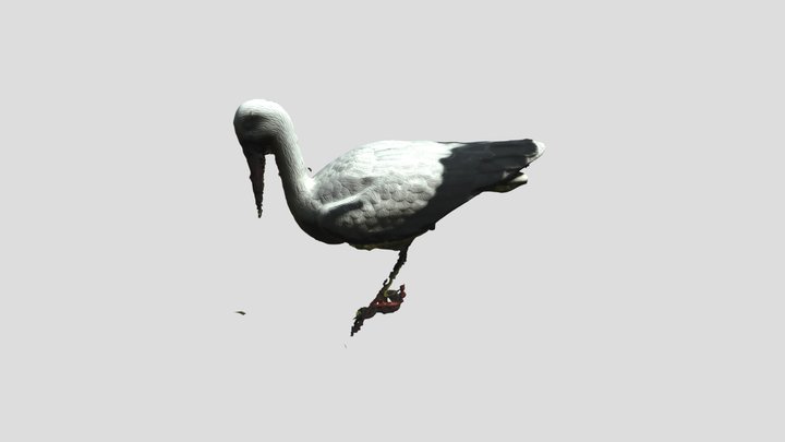 Tsaplya 3D Model