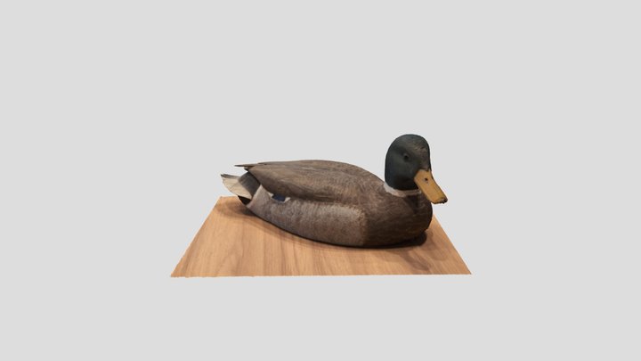Wooden Duck 3D Model