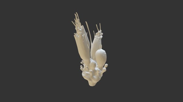 UV 04 3D Model