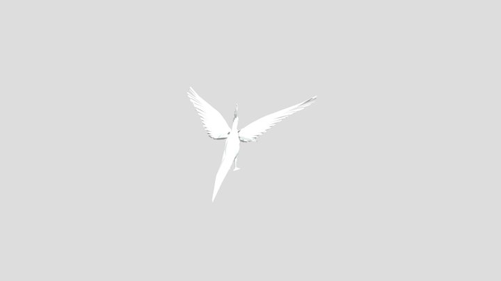 деревня птица 3D Model