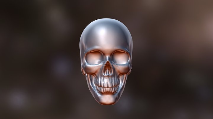Skull Study 1 3D Model