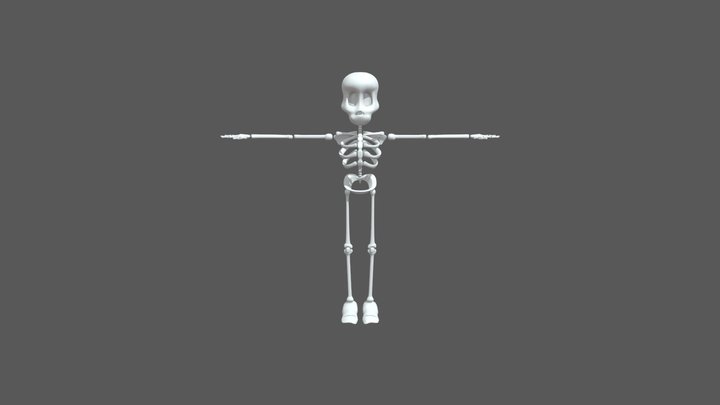 Cartoon Skeleton 3D Model