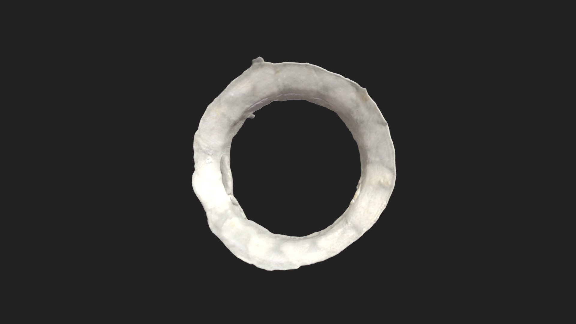 sclerotic ring chicken - 3D model by vetanatMunich [5b49c12] - Sketchfab