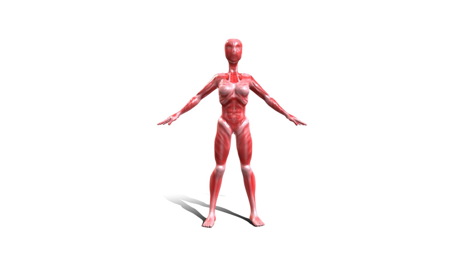 2284_delaMarck_guillaume_Anatomie