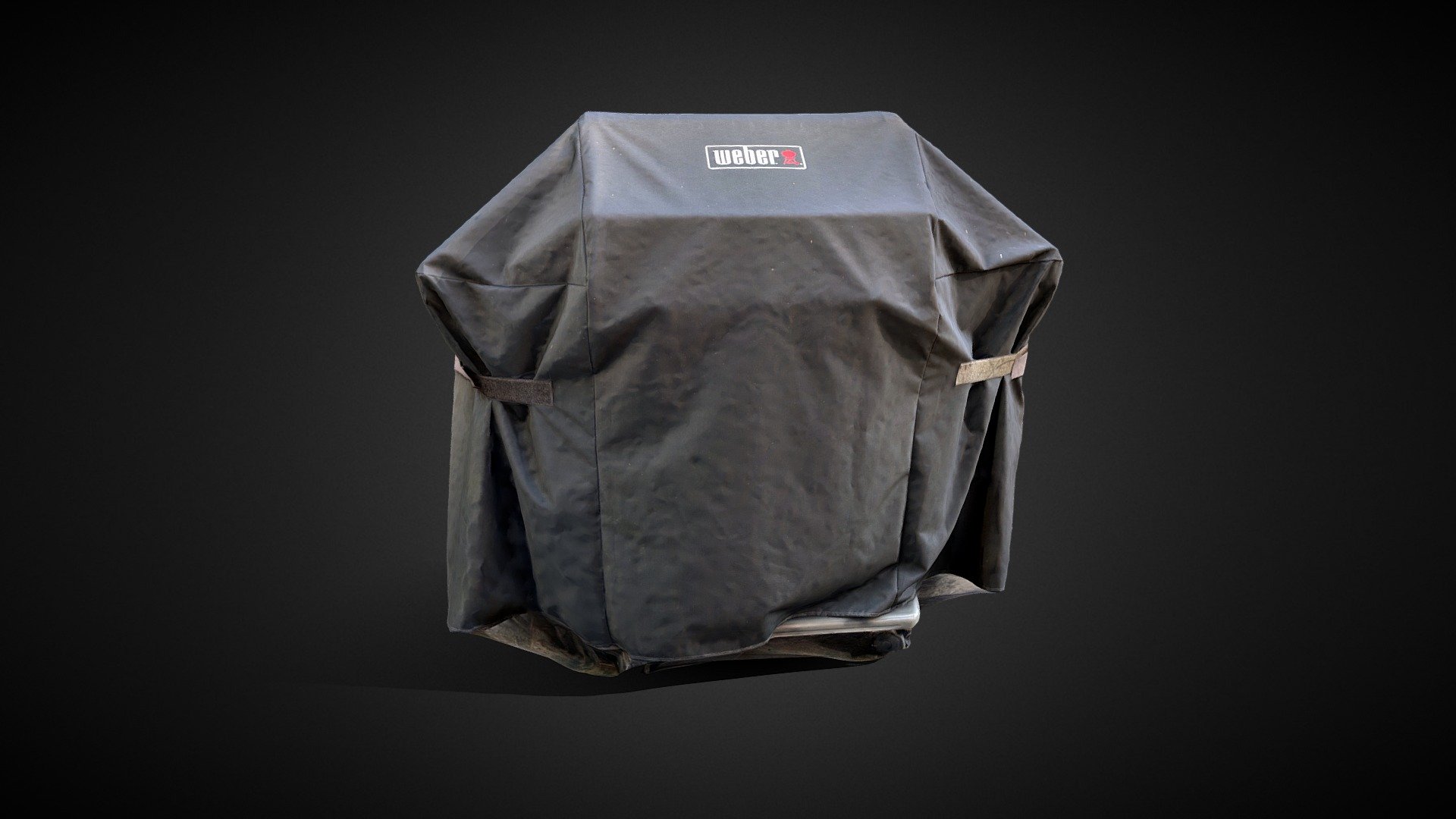 Weber Grill Covered - PolyCam