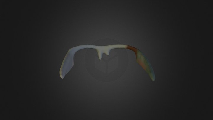 Skanect glasses 2 - simplified 8000 3D Model