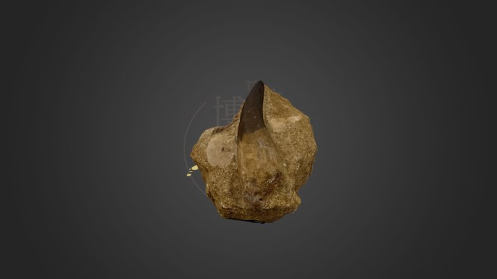 TECODM113 エラスモサウルス – Free 3D Model STL