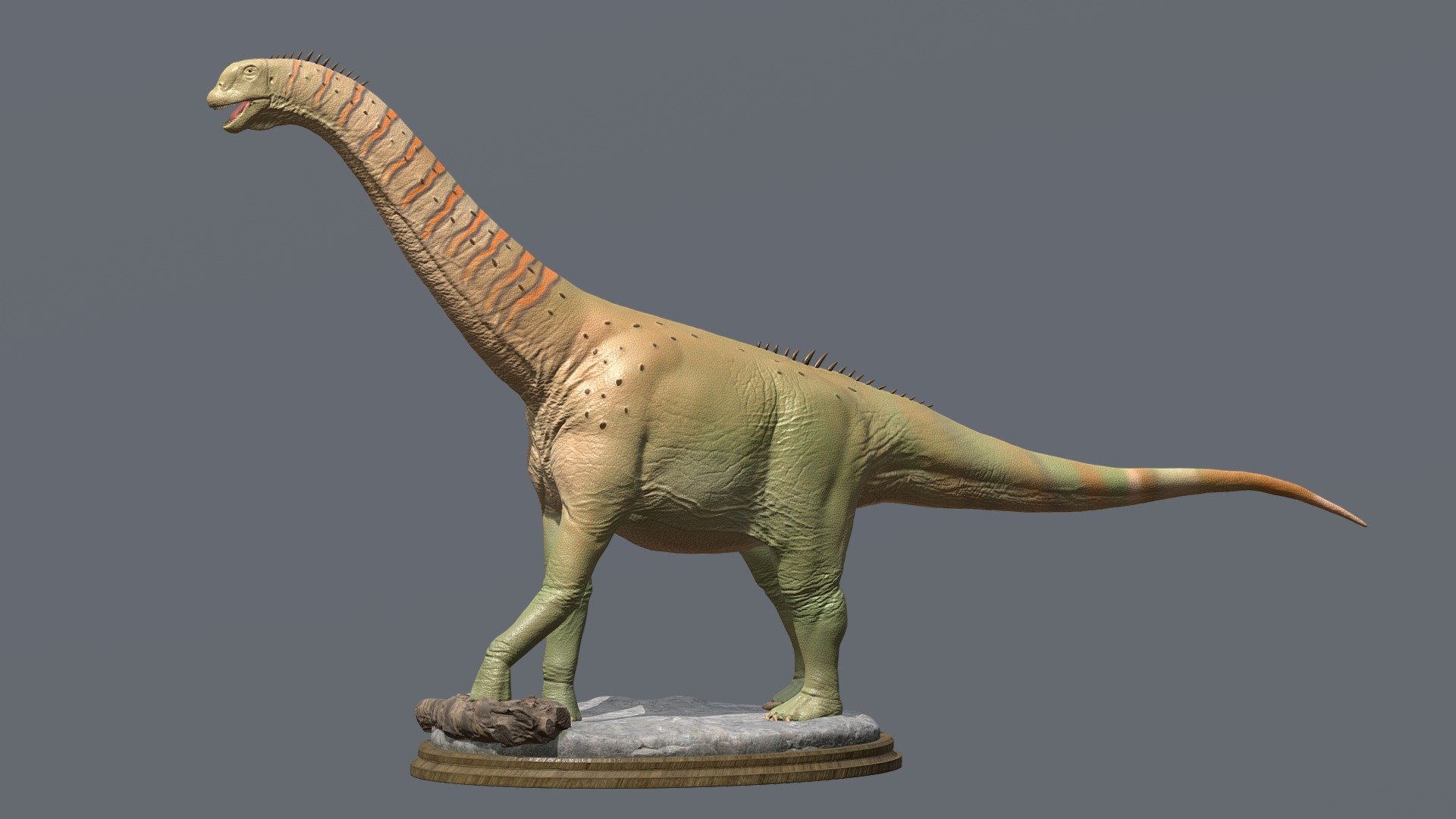 Camarasaurus supremus - Buy Royalty Free 3D model by vfb_paleoart ...