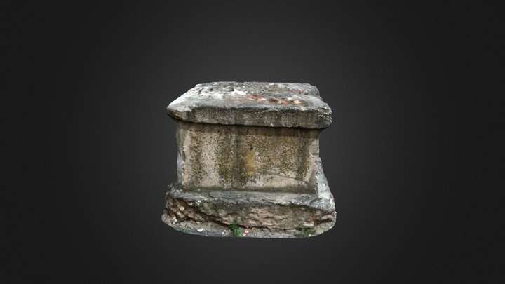3 3D Model