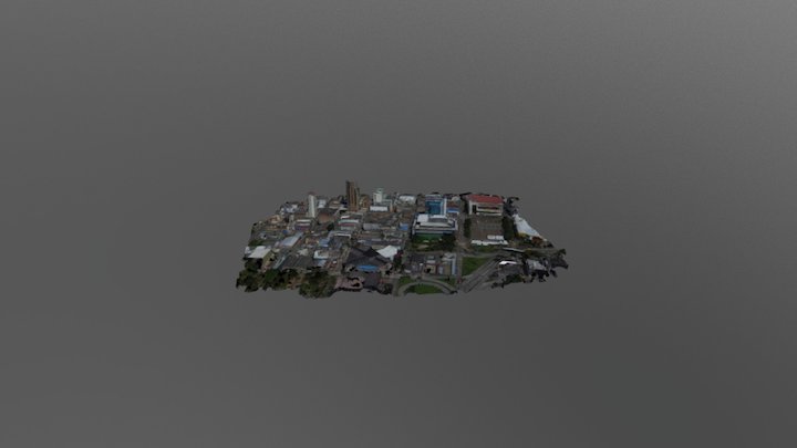 Ciudad Victoria Pereira 3D Model