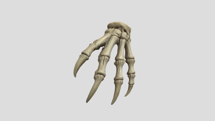 Raptor's Grasp 3D Model